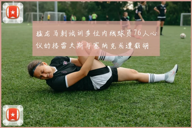猛龙马刺试训多位内线球员76人心仪的格雷夫斯与塞纳克或遭截胡