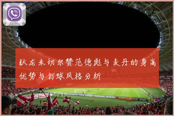 狄龙米切尔赞范德彪与麦丹的身高优势与打球风格分析
