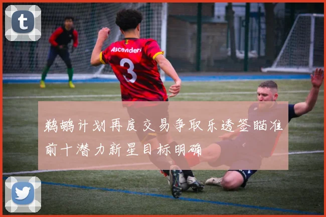 鹈鹕计划再度交易争取乐透签瞄准前十潜力新星目标明确