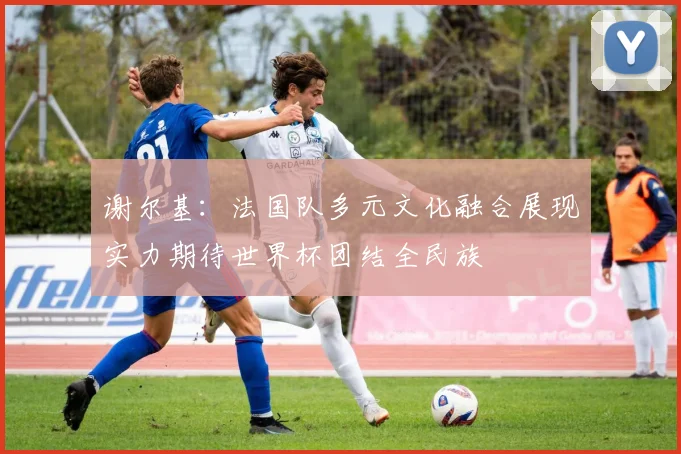 谢尔基：法国队多元文化融合展现实力期待世界杯团结全民族